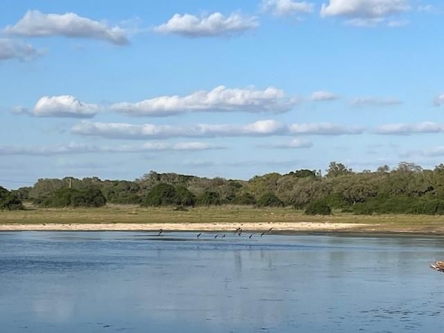 1600 County Road 121, Garwood, TX 77460