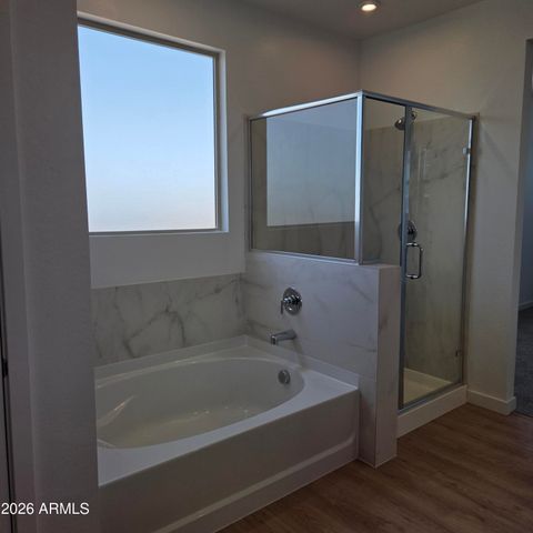 3009 E Villa Avenue, San Tan Valley, AZ 85143