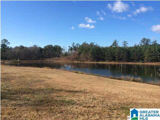 49 BELLS LANE, Vincent, AL 35178
