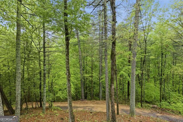 458 Almond Circle, Ellijay, GA 30540