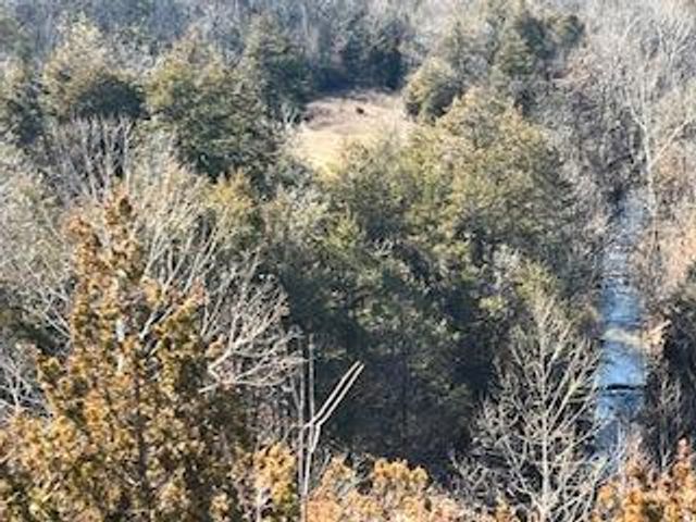 000000 Ozark Scenic, Branson, MO 65616