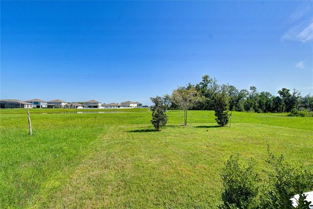 35651 BUTTONWEED TRAIL, Zephyrhills, FL 33541