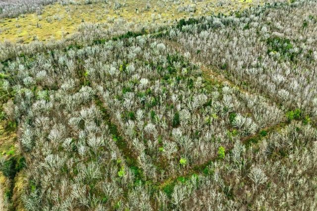 0 Tbd, County Road 146, Alvin, TX 77511