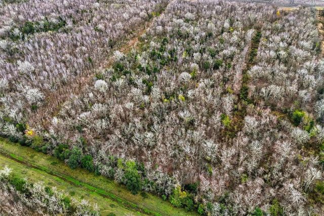 0 Tbd, County Road 146, Alvin, TX 77511