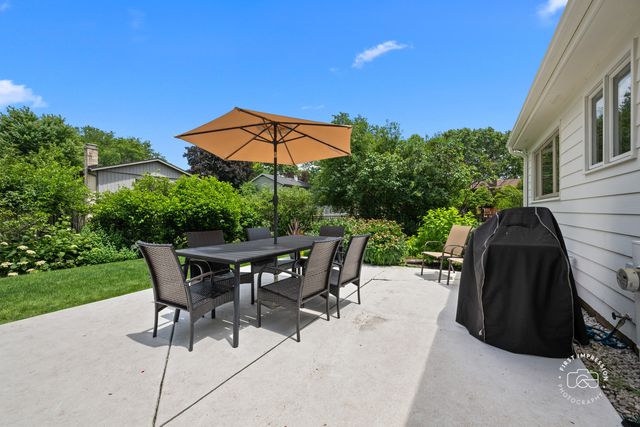 233 Terrance Drive, Naperville, IL 60565