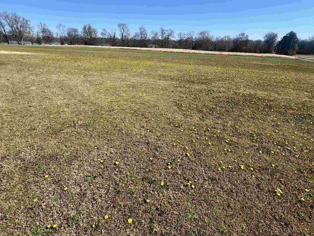 1350 BLANTON RD, Adamsville, TN 38310