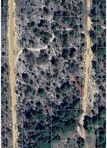 TBD 13TH STREET, Interlachen, FL 32148