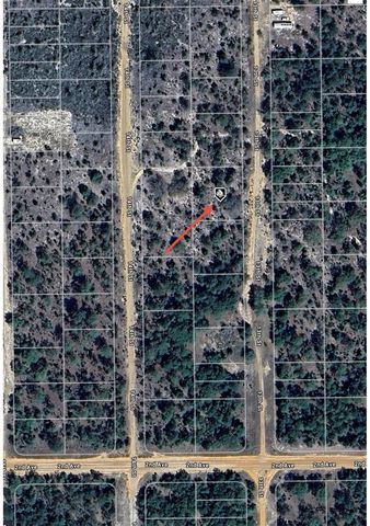 TBD 13TH STREET, Interlachen, FL 32148
