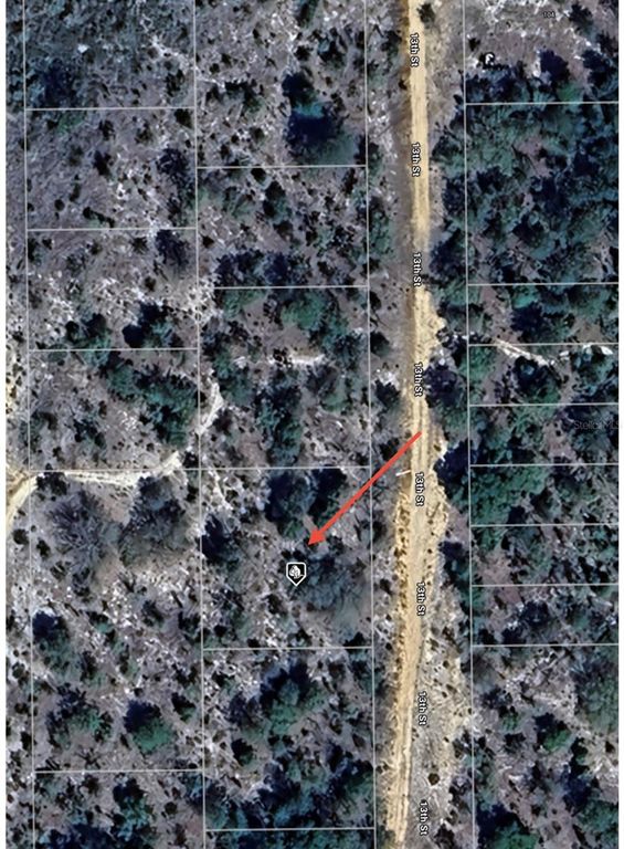 TBD 13TH STREET, Interlachen, FL 32148