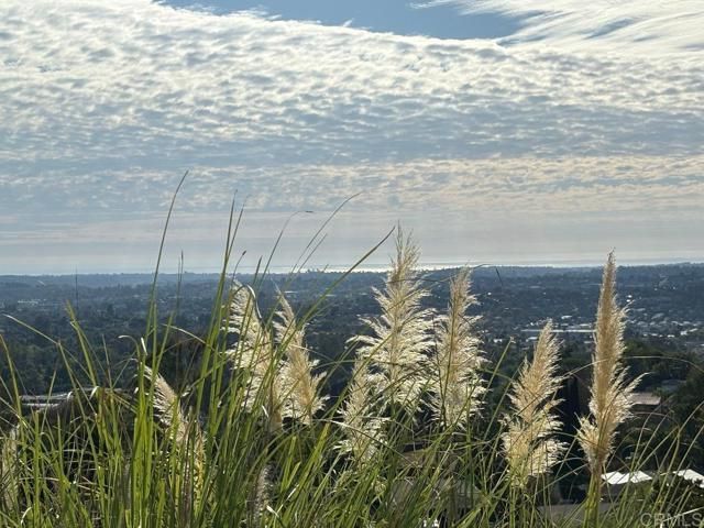 2068 Camino Culebra, Vista, CA 92084