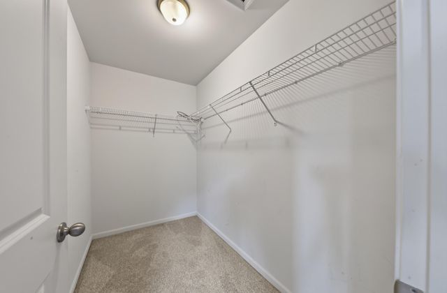 10650 Scarlet Oak Drive, Superior Twp, MI 48198