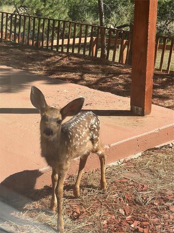 6224 Powell Road, Parker, CO 80134