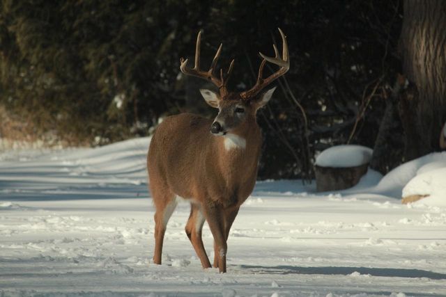 902 Lake DRIVE, South Milwaukee, WI 53172