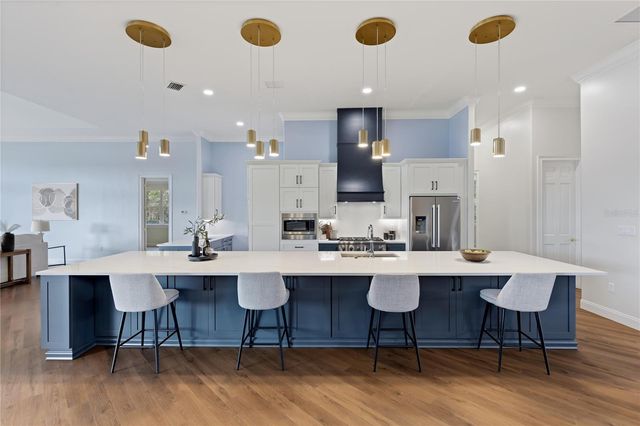 1359 ELYSIUM BOULEVARD, Mount Dora, FL 32757