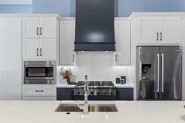 1359 ELYSIUM BOULEVARD, Mount Dora, FL 32757