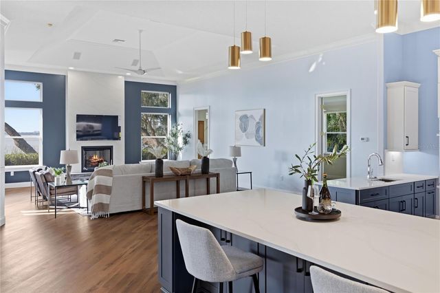 1359 ELYSIUM BOULEVARD, Mount Dora, FL 32757