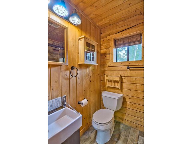 130 Summit Way, Bailey, CO 80421