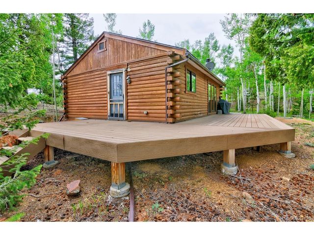 130 Summit Way, Bailey, CO 80421