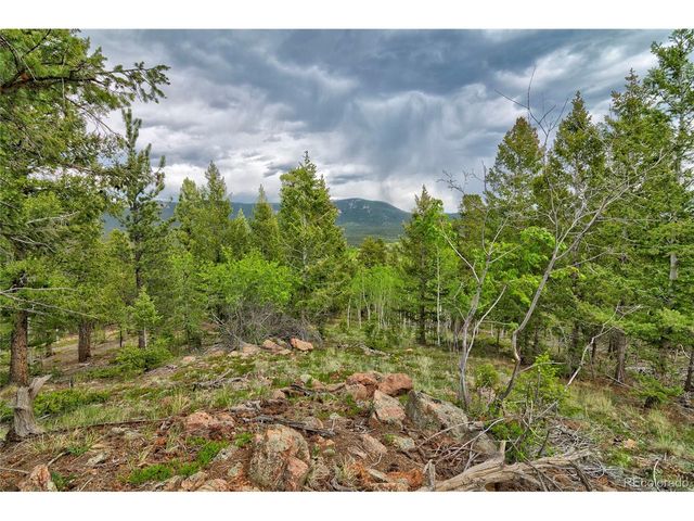 130 Summit Way, Bailey, CO 80421