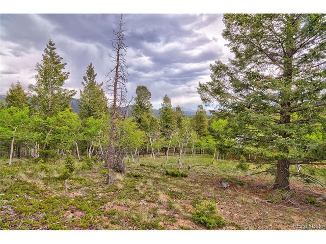 130 Summit Way, Bailey, CO 80421