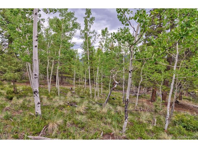 130 Summit Way, Bailey, CO 80421