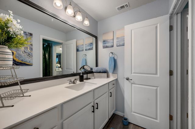 16710 Sonoma Breeze DR, Manor, TX 78653