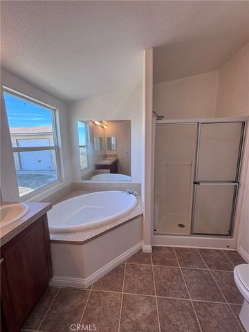 10024 Anderson Ranch, Phelan, CA 92371