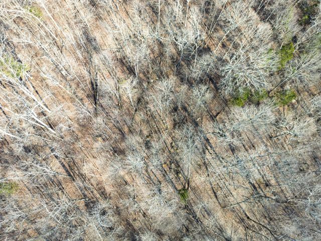 11438 County Road 91, Bryant, AL 35958