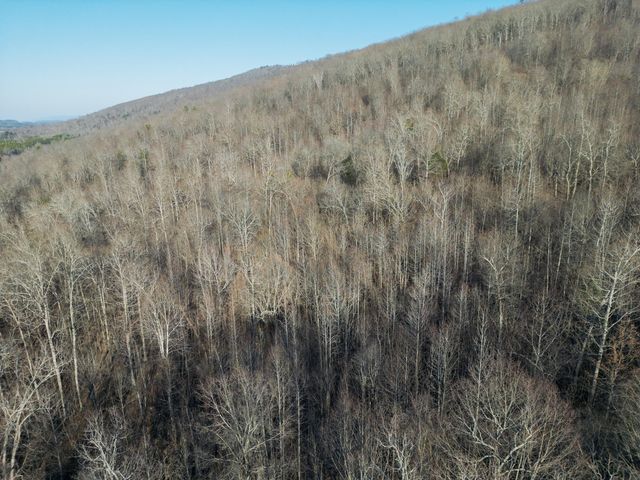 11438 County Road 91, Bryant, AL 35958