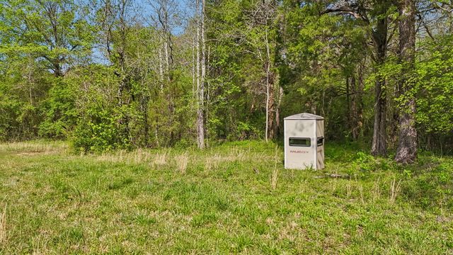 11438 County Road 91, Bryant, AL 35958