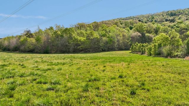 11438 County Road 91, Bryant, AL 35958