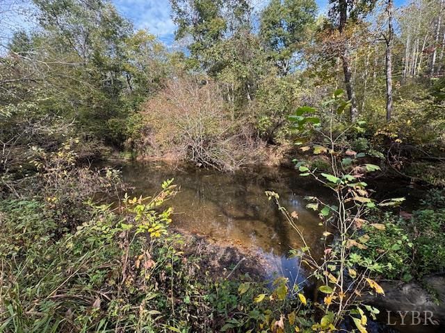 827 Wolf Creek Lane, Appomattox, VA 24522