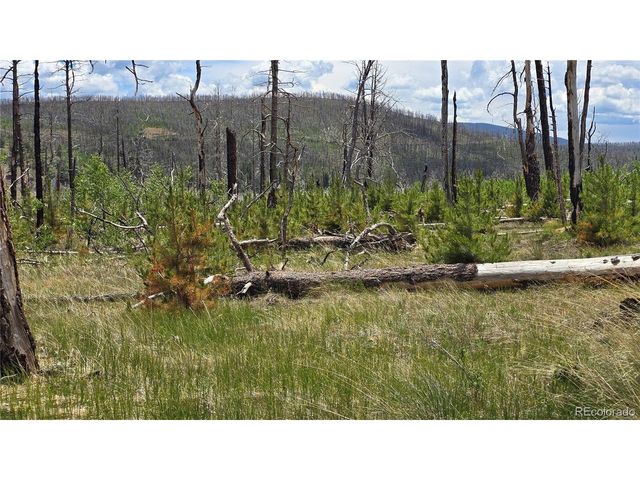 1617 Kopf Ln, Fort Garland, CO 81133
