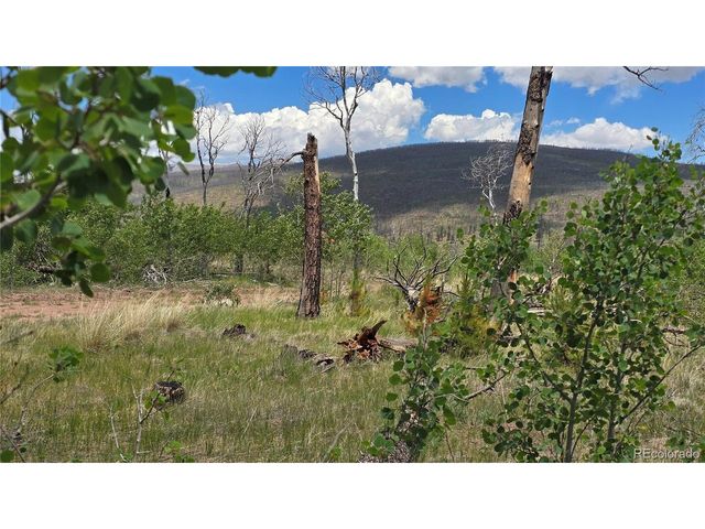 1617 Kopf Ln, Fort Garland, CO 81133