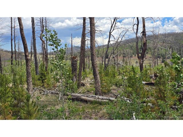 1617 Kopf Ln, Fort Garland, CO 81133