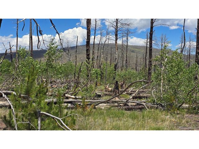 1617 Kopf Ln, Fort Garland, CO 81133