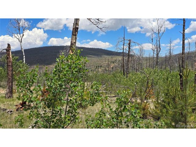 1617 Kopf Ln, Fort Garland, CO 81133