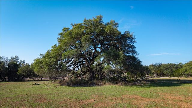 2444 Purgatory Road, New Braunfels, TX 78132