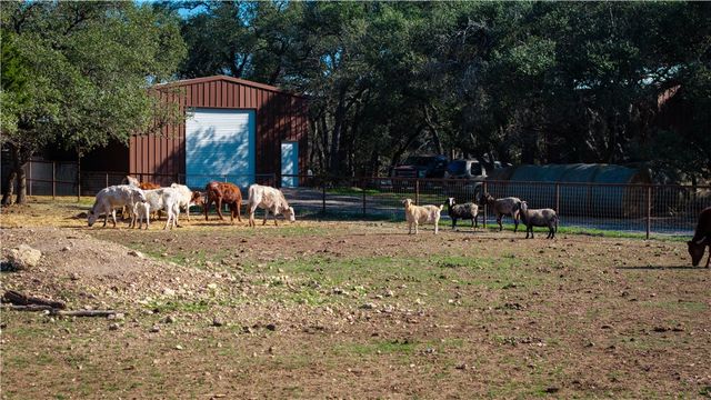 2444 Purgatory Road, New Braunfels, TX 78132