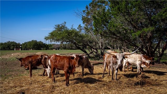 2444 Purgatory Road, New Braunfels, TX 78132