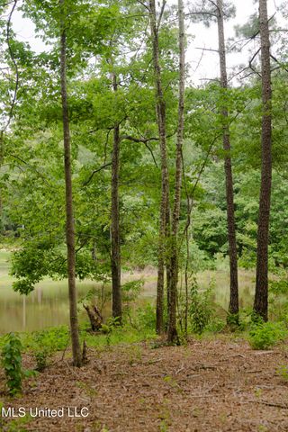 Danielle Cove, Brandon, MS 39042