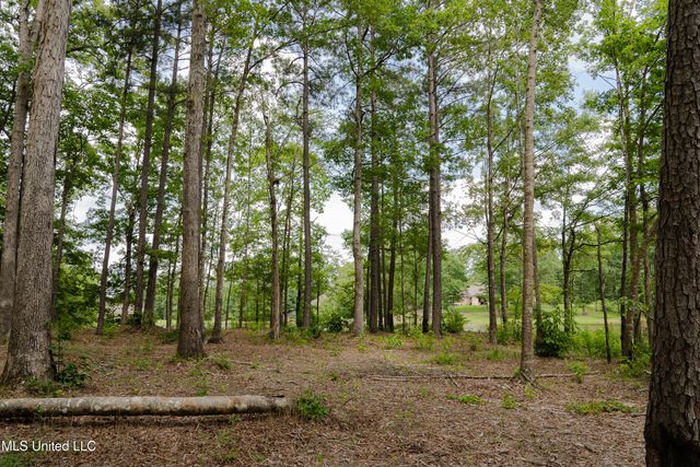Danielle Cove, Brandon, MS 39042