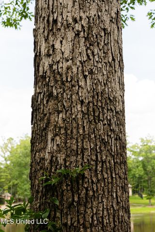 Danielle Cove, Brandon, MS 39042