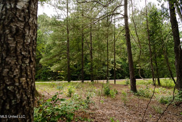 Danielle Cove, Brandon, MS 39042