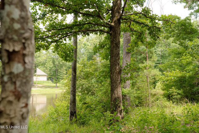Danielle Cove, Brandon, MS 39042
