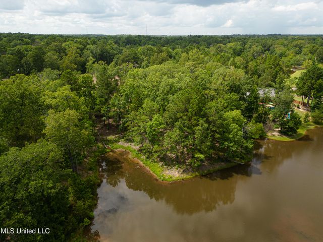 Danielle Cove, Brandon, MS 39042