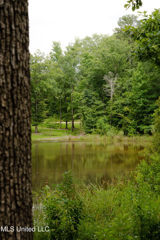 Danielle Cove, Brandon, MS 39042