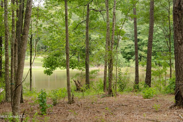 Danielle Cove, Brandon, MS 39042