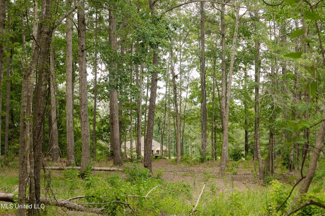 Danielle Cove, Brandon, MS 39042