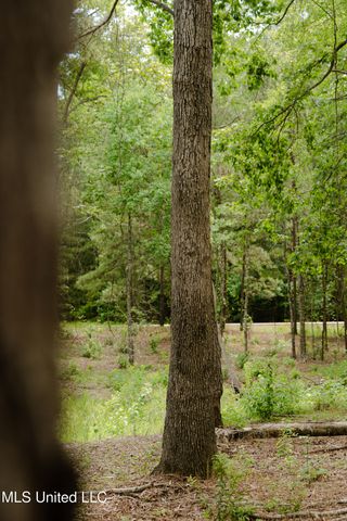 Danielle Cove, Brandon, MS 39042